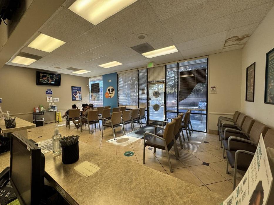 Western Dental &amp; Orthodontics Logo