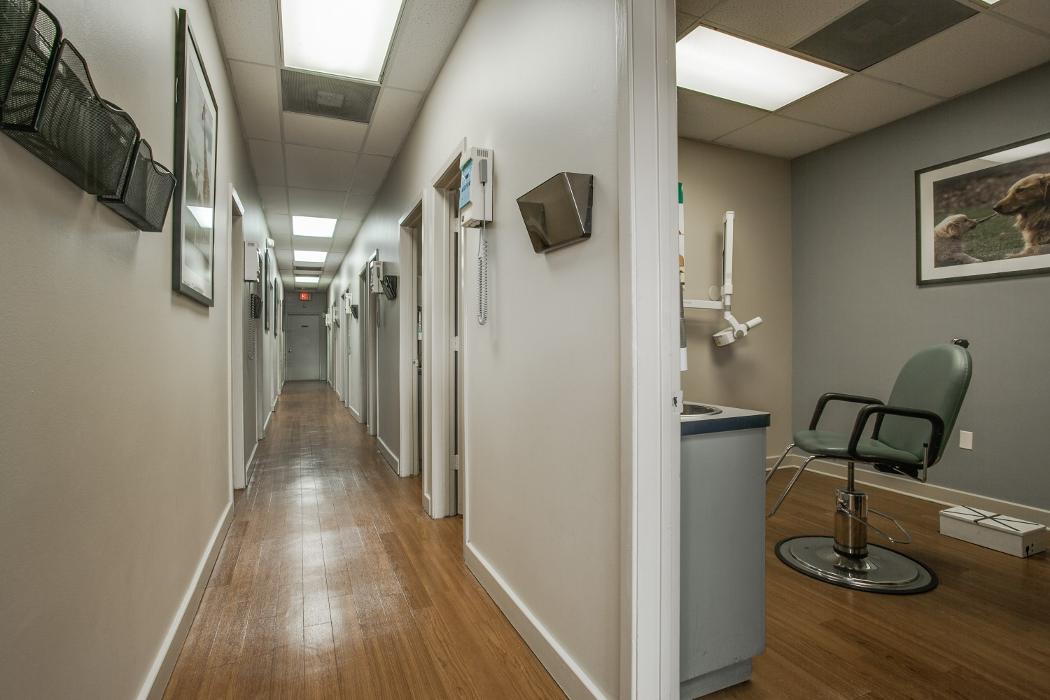 Brident Dental & Orthodontics Image