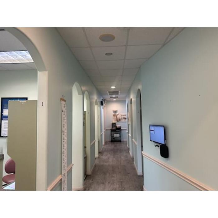 Brident Dental & Orthodontics Image