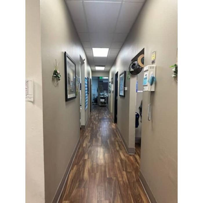 Western Dental & Orthodontics Image