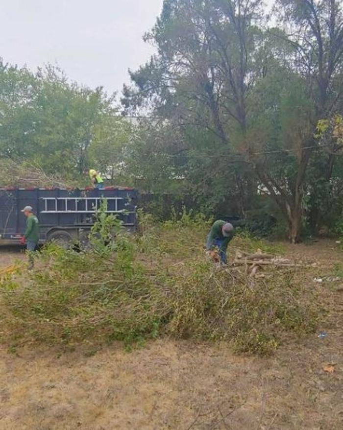 Wilder Tree Company Image