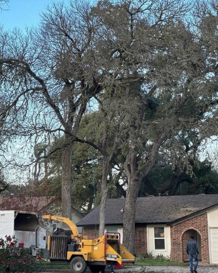 Wilder Tree Company Image