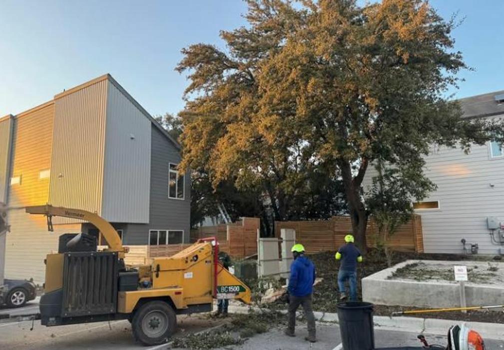 Wilder Tree Company Image