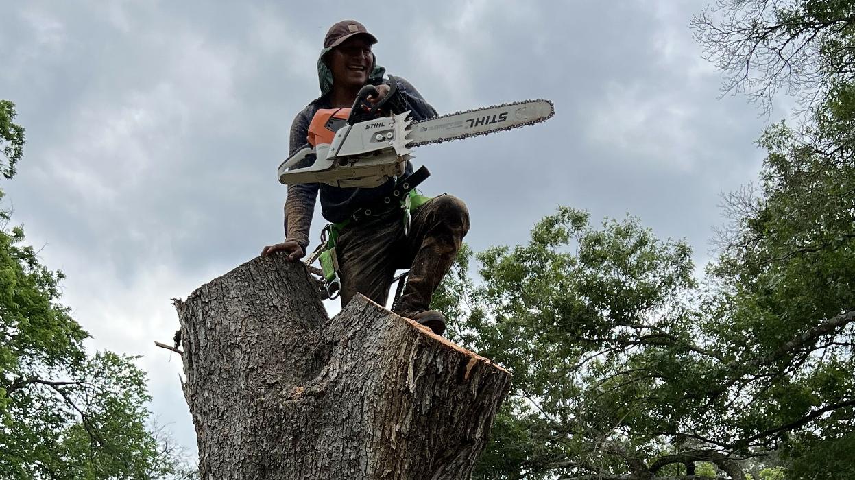 Wilder Tree Company Image