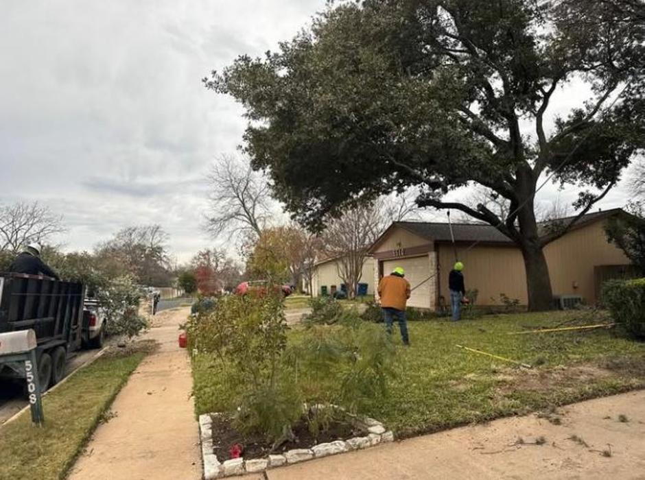 Wilder Tree Company Image