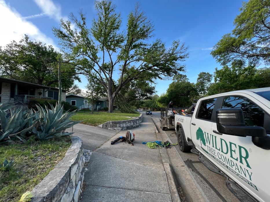 Wilder Tree Company Image