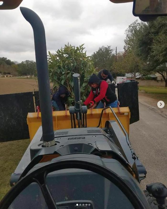 Wilder Tree Company Image