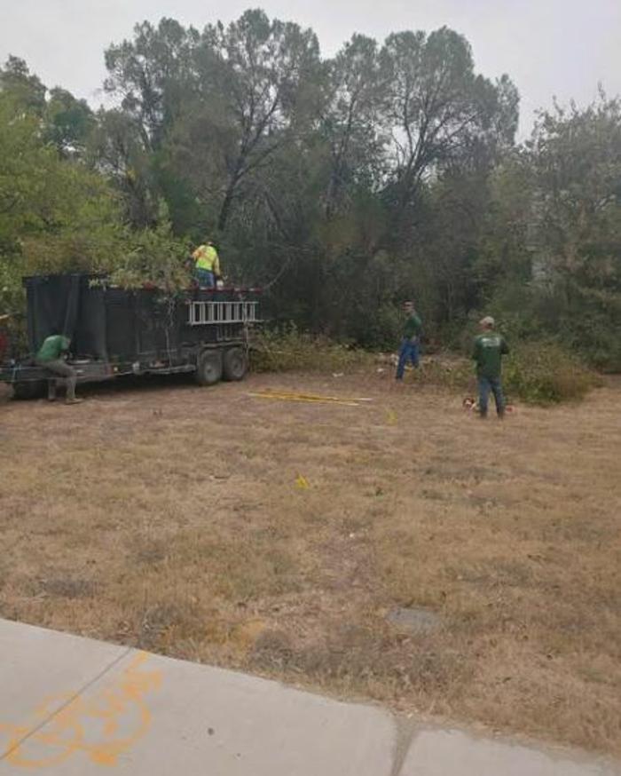 Wilder Tree Company Image