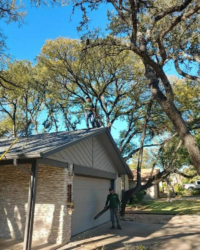 Wilder Tree Company Image