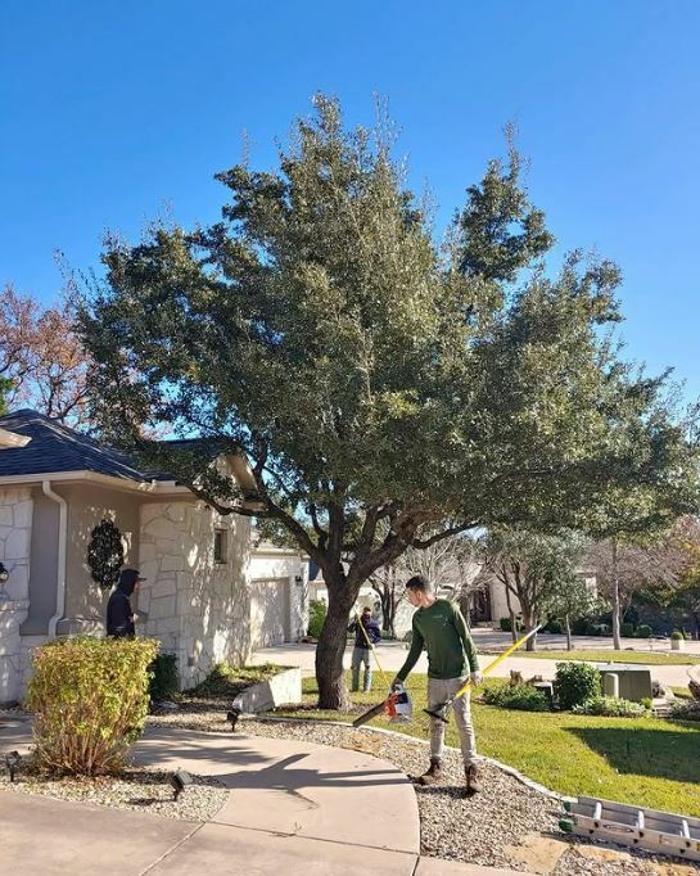 Wilder Tree Company Image