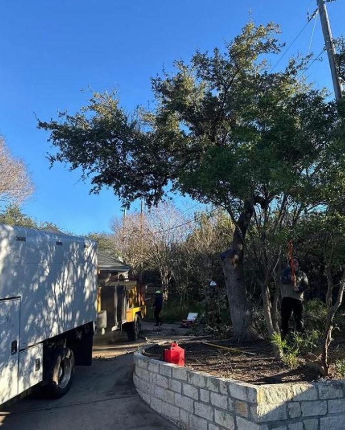 Wilder Tree Company Image