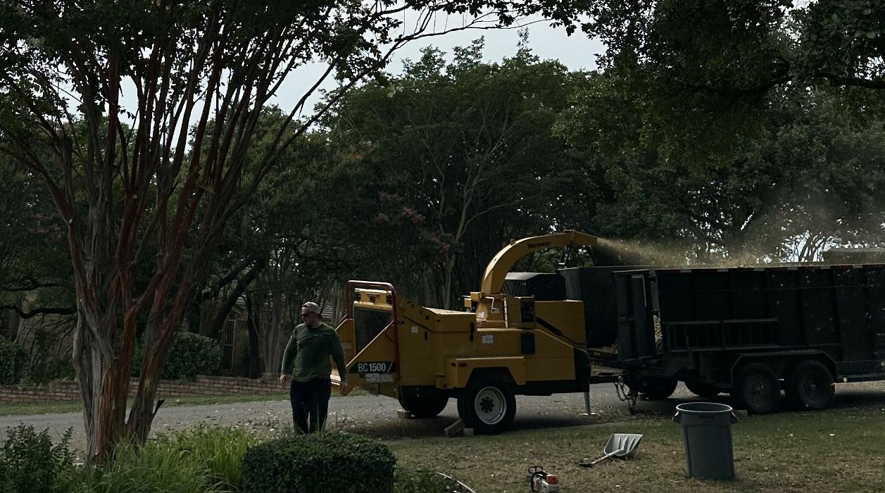 Wilder Tree Company Image