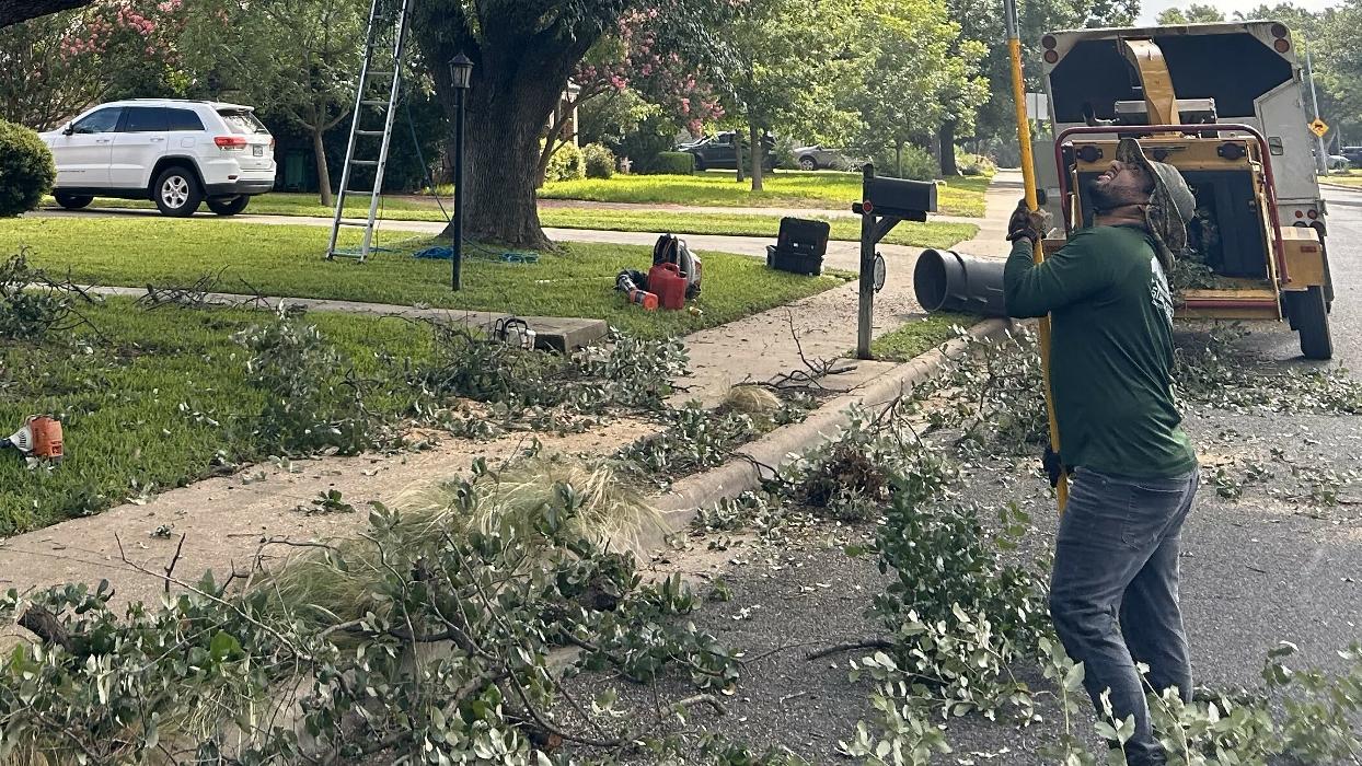 Wilder Tree Company Image