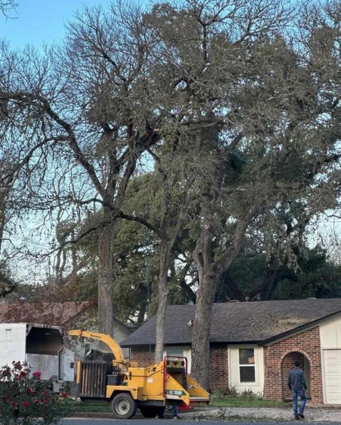 Wilder Tree Company Image