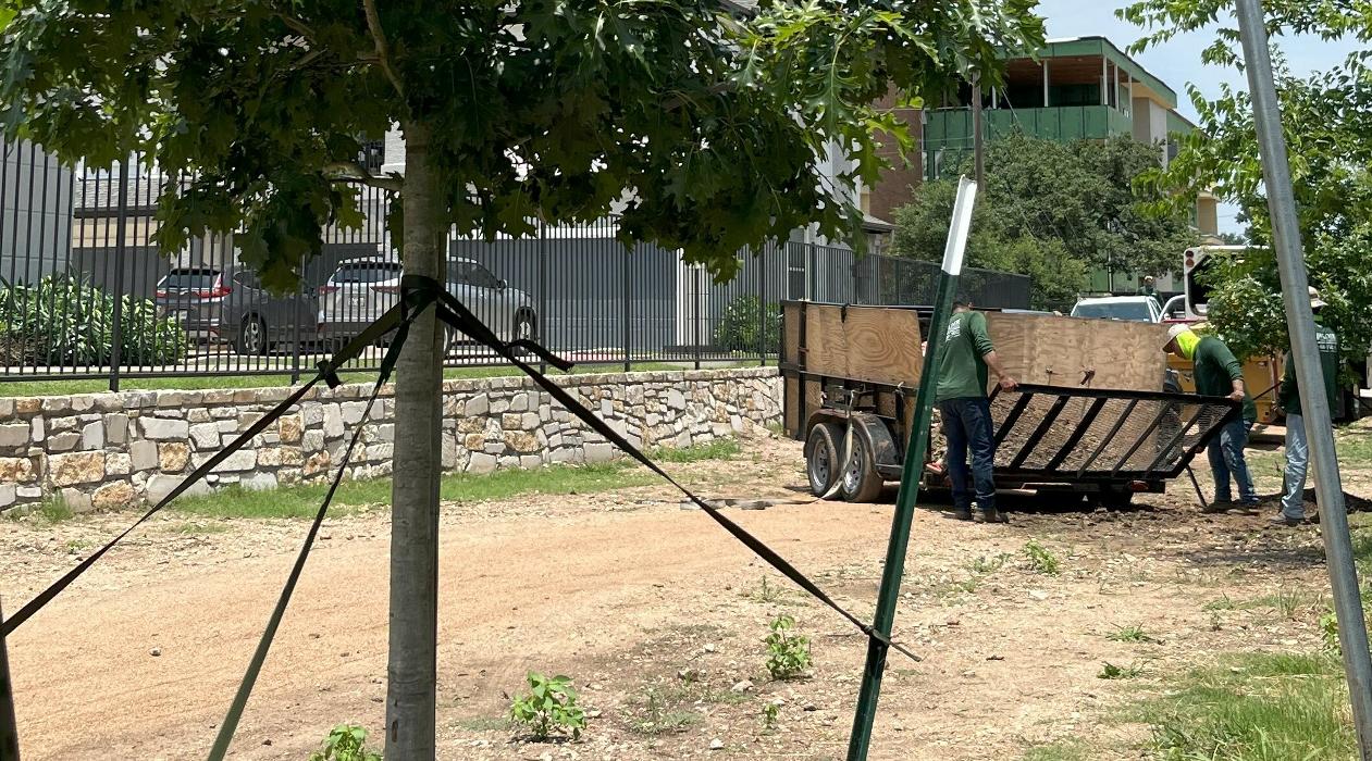 Wilder Tree Company Image