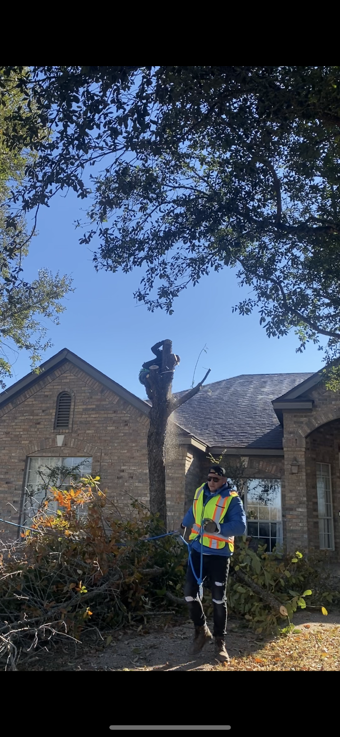 Wilder Tree Company Image