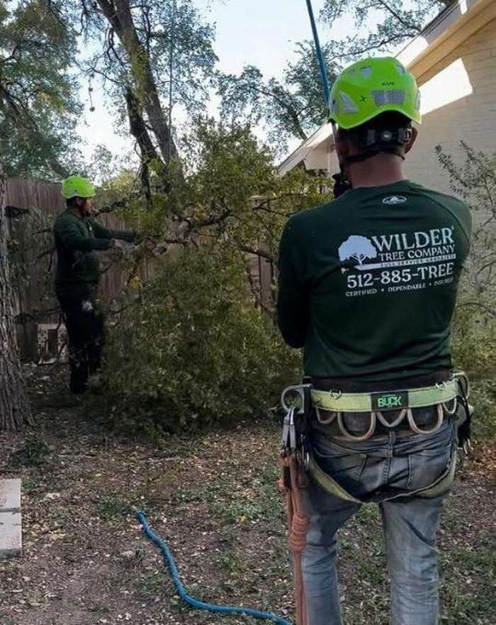 Wilder Tree Company Image