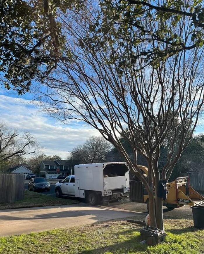 Wilder Tree Company Image