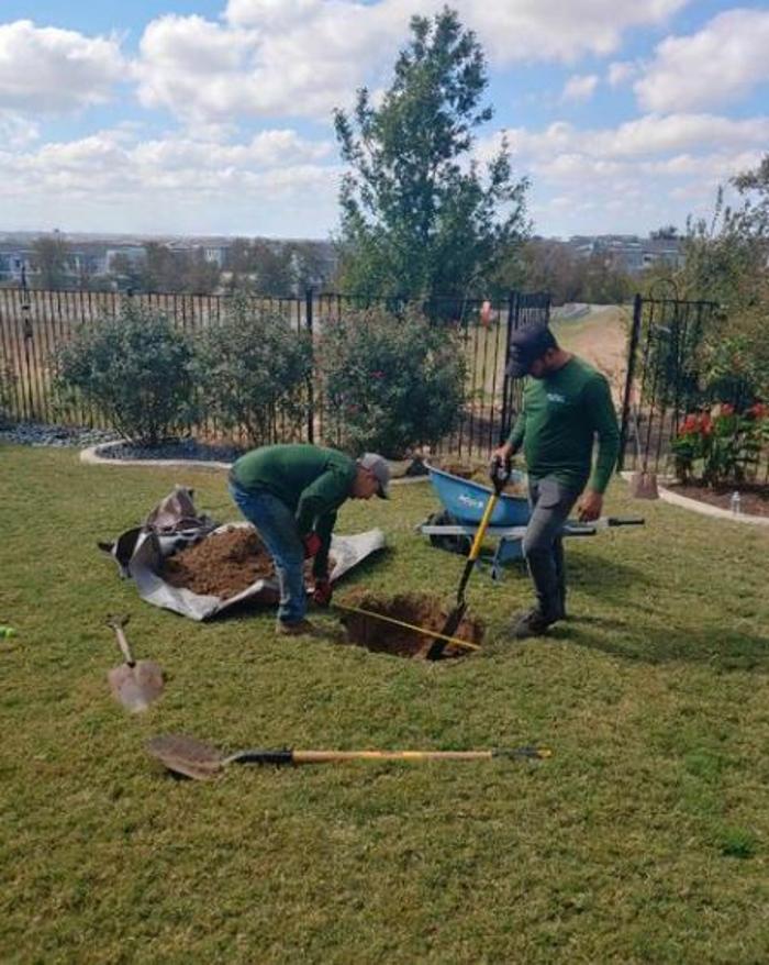 Wilder Tree Company Image