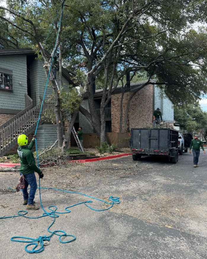 Wilder Tree Company Image