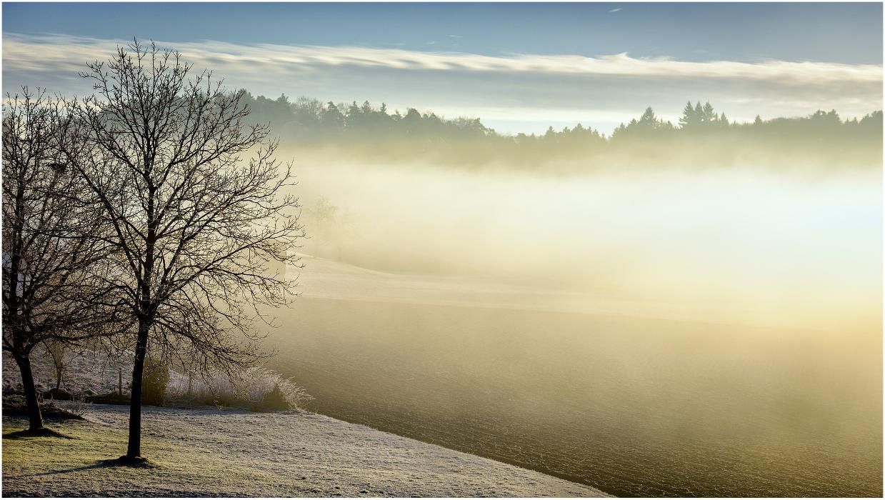 Knogler - Bestattungen, Schmiedstraße in Hartkirchen