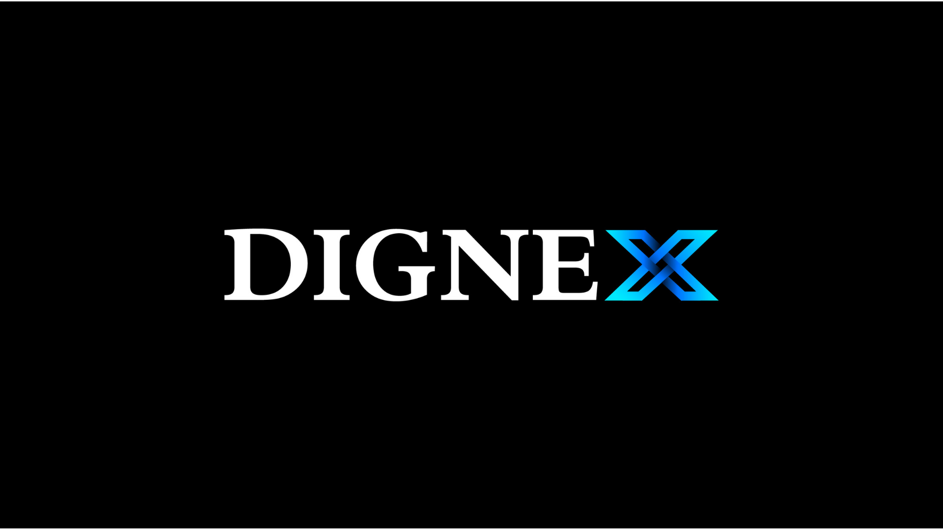 DIGNEX, Winkelriedstrasse in Bern