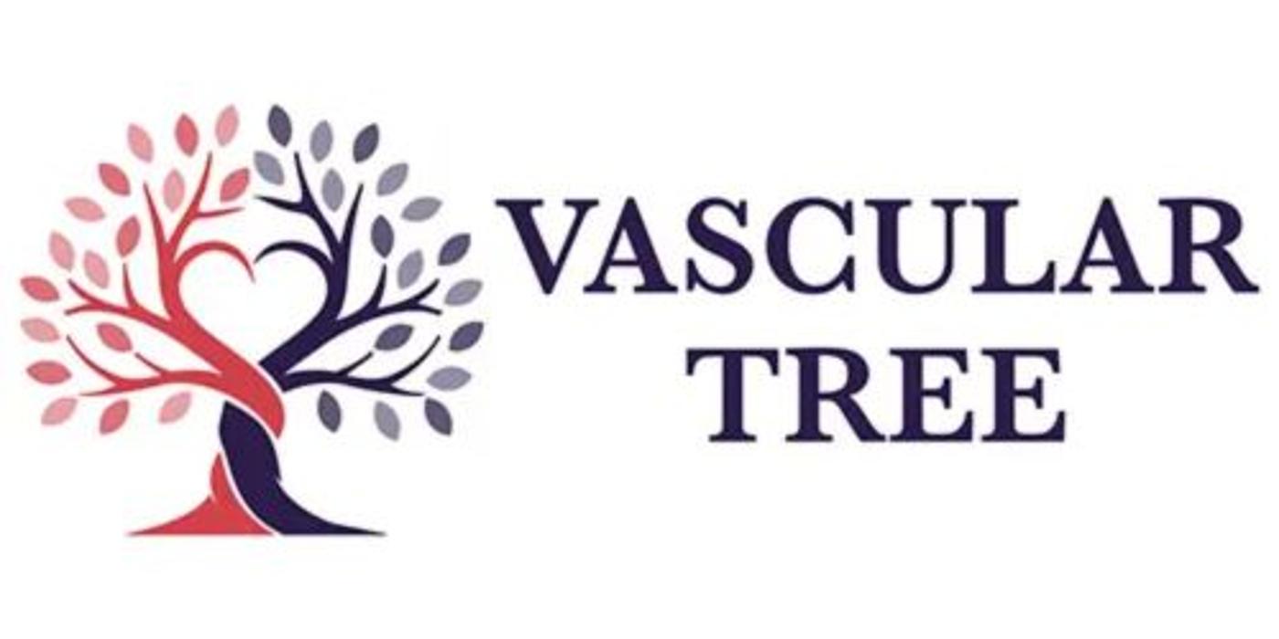 Vascular Tree