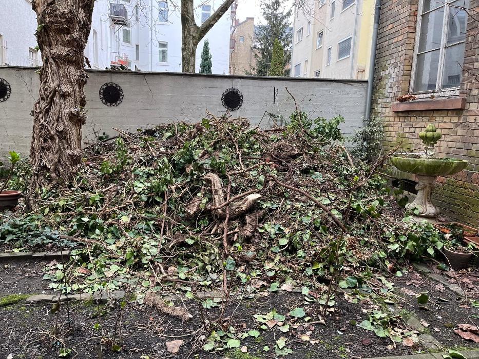 KaDe Entrümpelung & Transporte, Mainstraße in Bürstadt