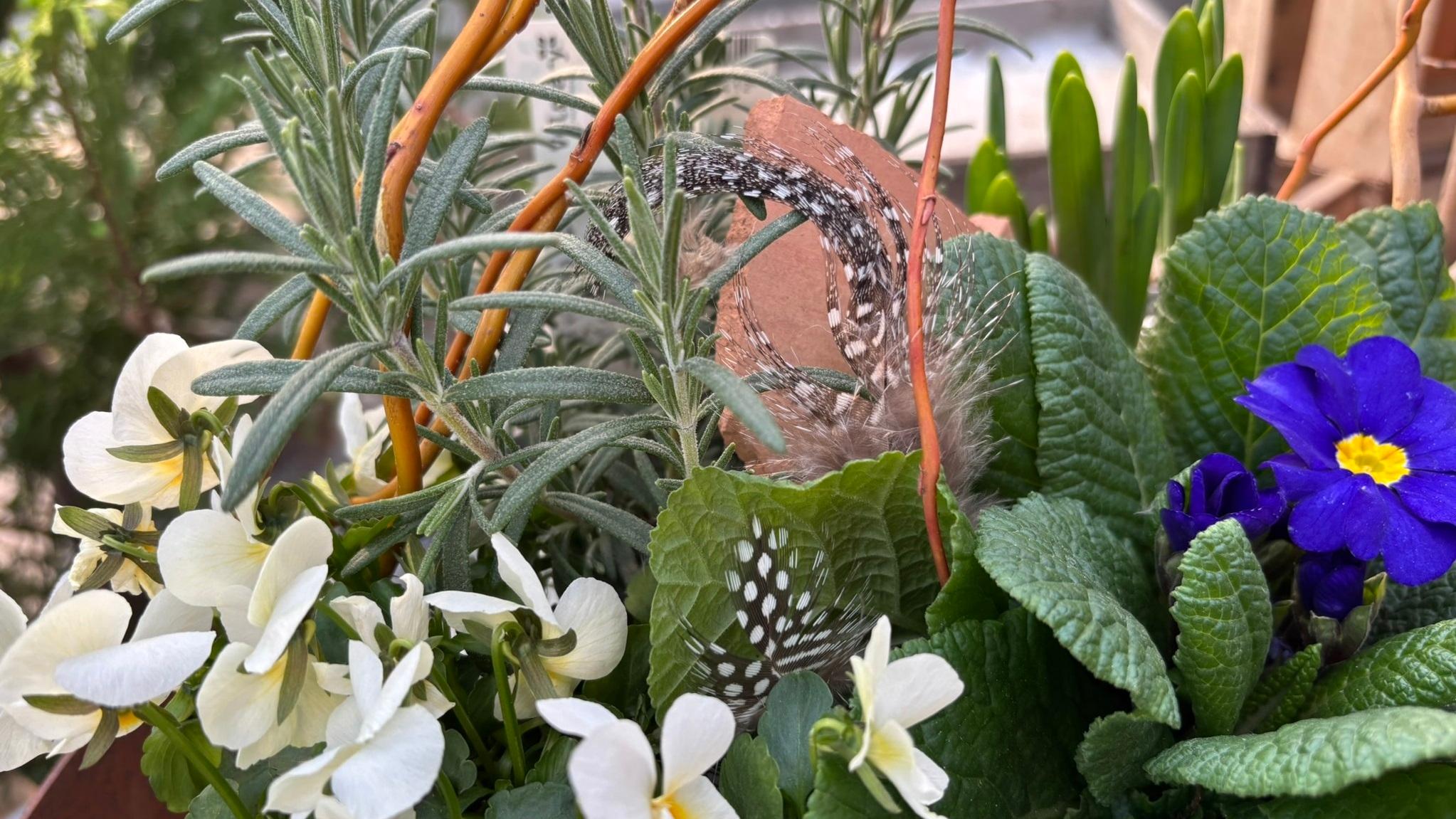Garten & Floristik Prifling, Gewerbegebiet in Schmidgaden