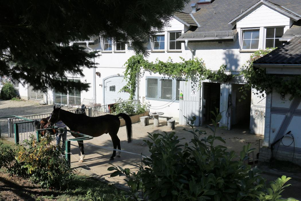 Reitschule Lautlos, Lindenhof in Weilrod