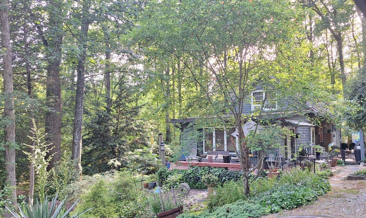 Eastern Tree Arboricultural Consulting, LLC Image