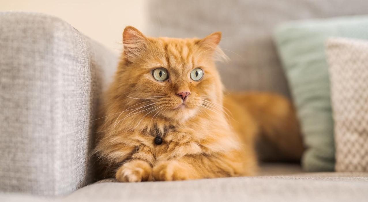 J Centra Burlington - Burlington, NJ