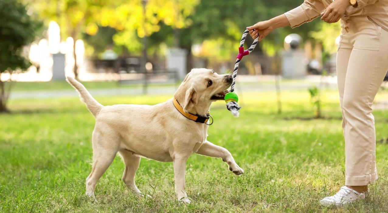 J Centra Burlington - Burlington, NJ