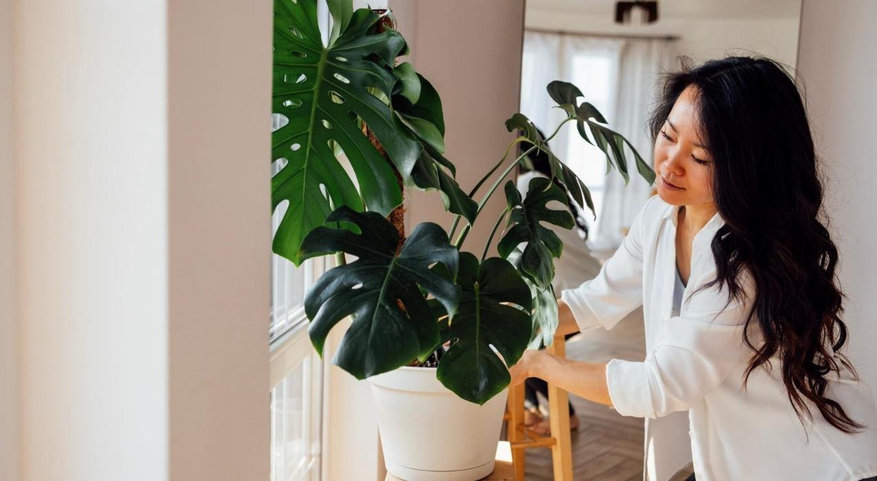 J Centra Burlington - Burlington, NJ