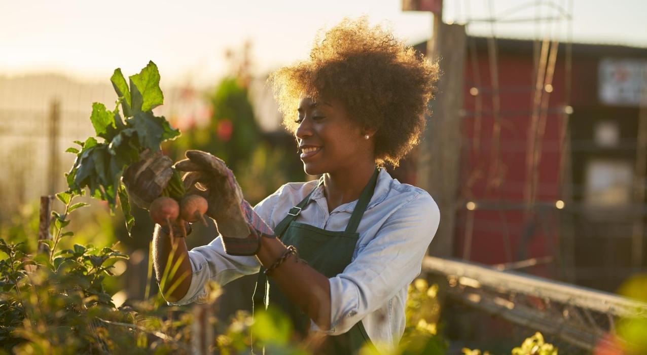 J Centra Burlington - Burlington, NJ