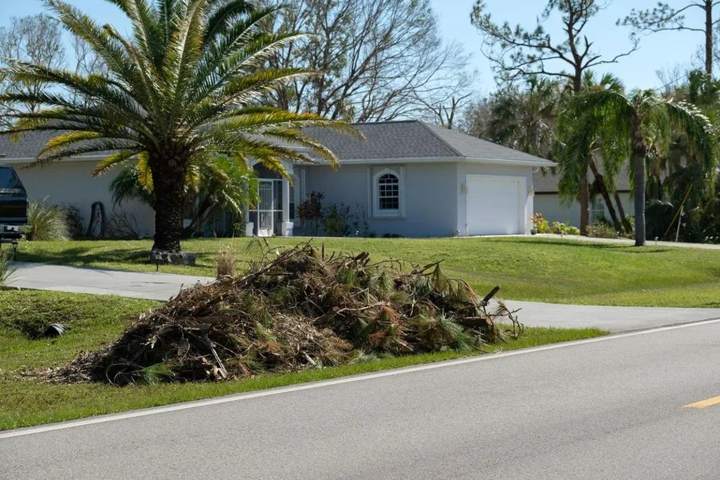 Naples - Naples, FL