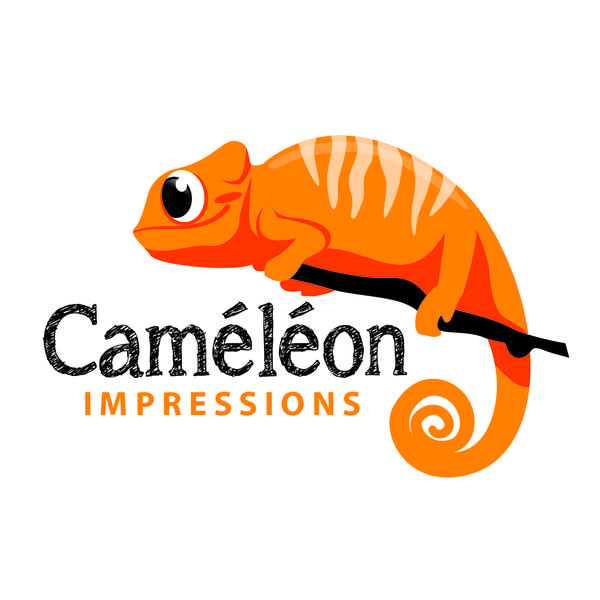 Caméléon Impressions cybercafé