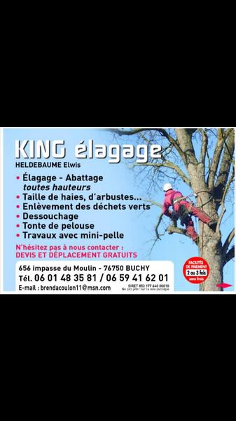 King Elagage paysagiste conseil
