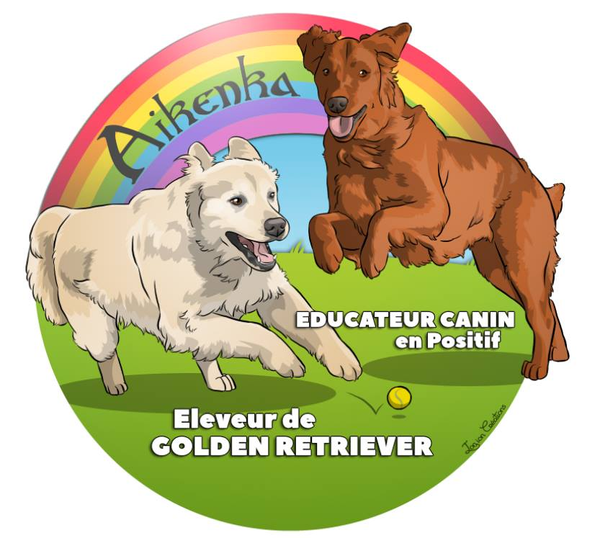 Aikenka Education Canine dressage animal