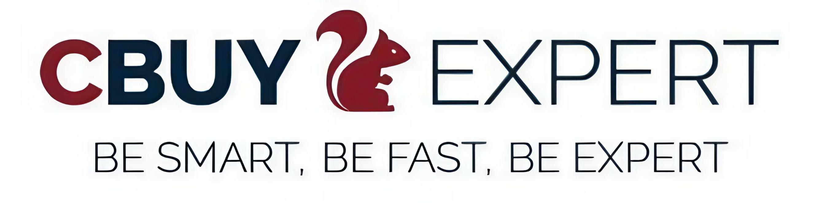 CBUY.EXPERT GmbH in Schneeberg