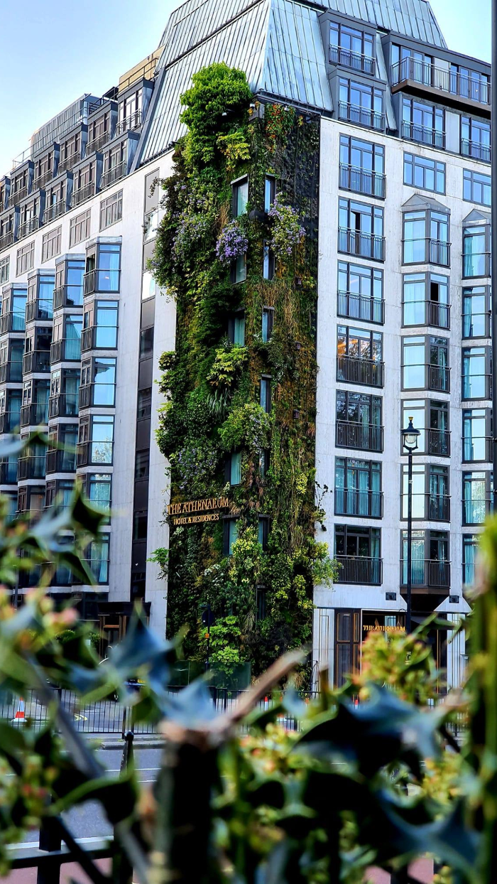 Living Wall