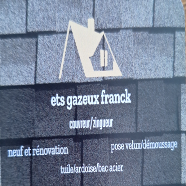 Gazeux Franck Expert