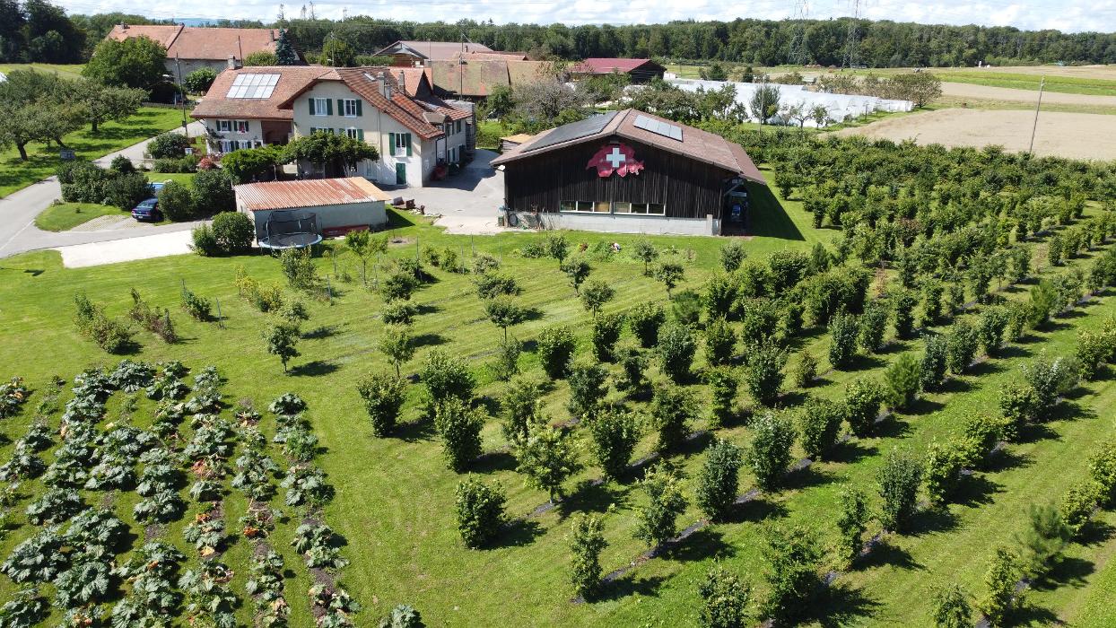 La Truffe du Mont, Christophe Corbaz, Chemin de Longeraie in Le Mont-sur-Lausanne