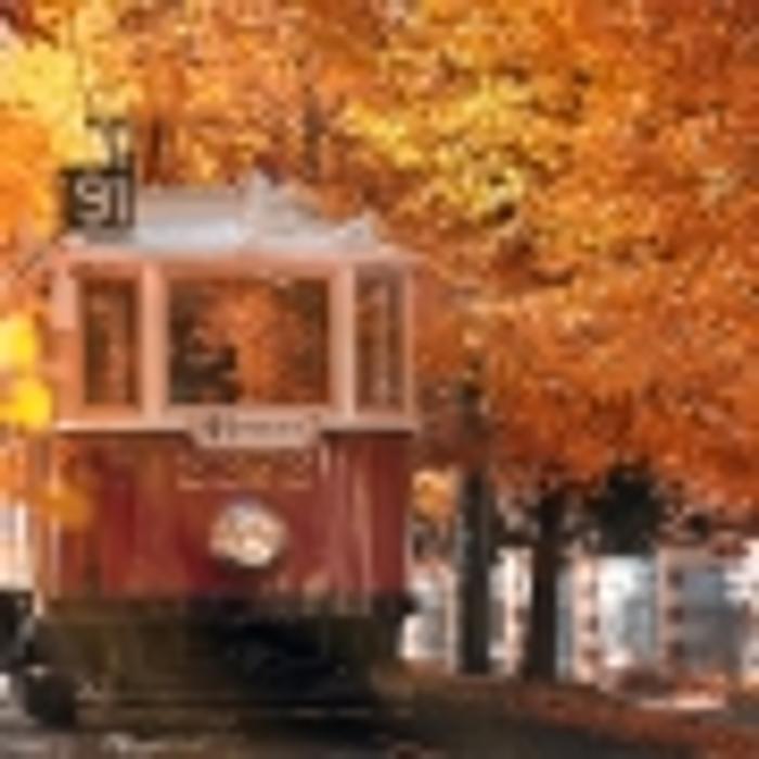 On The Mark Investigations - Buford, GA