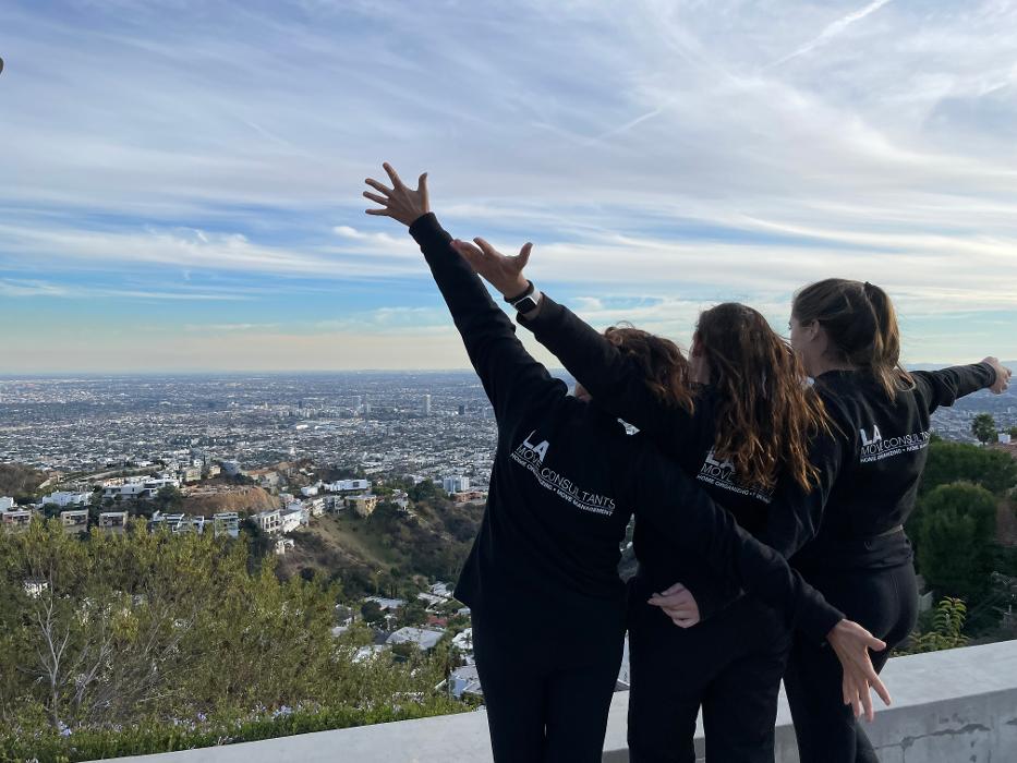 LA Move Consultants - Manhattan Beach, CA