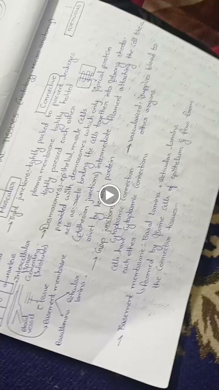 Fotos de Swift Assignment Writing & Drawing Services | Expert Essay, Dissertation & Record Writing Help - Hyderabad & International
