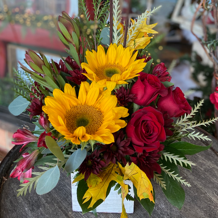 Morrison's Flowers & Gifts | Florist - Williamsburg, VA