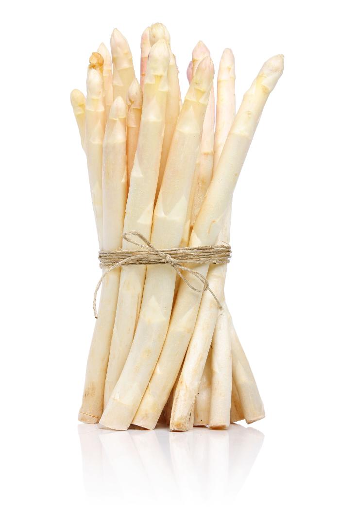 Druck- und Papier-Service Liebers GmbH, Tullastraße in Speyer