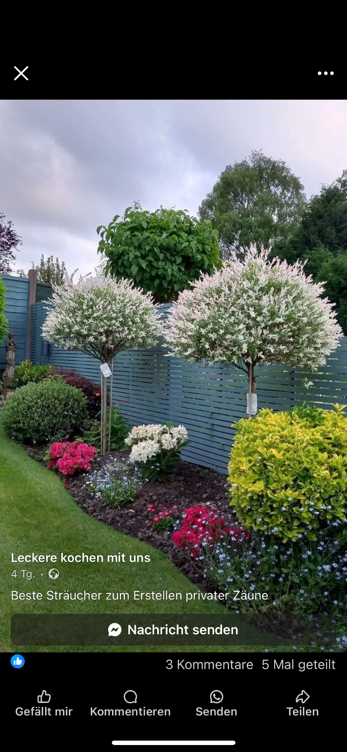 Reinigungsservice Leona-N GmbH, Max-Eyth-Straße in Bad Friedrichshall