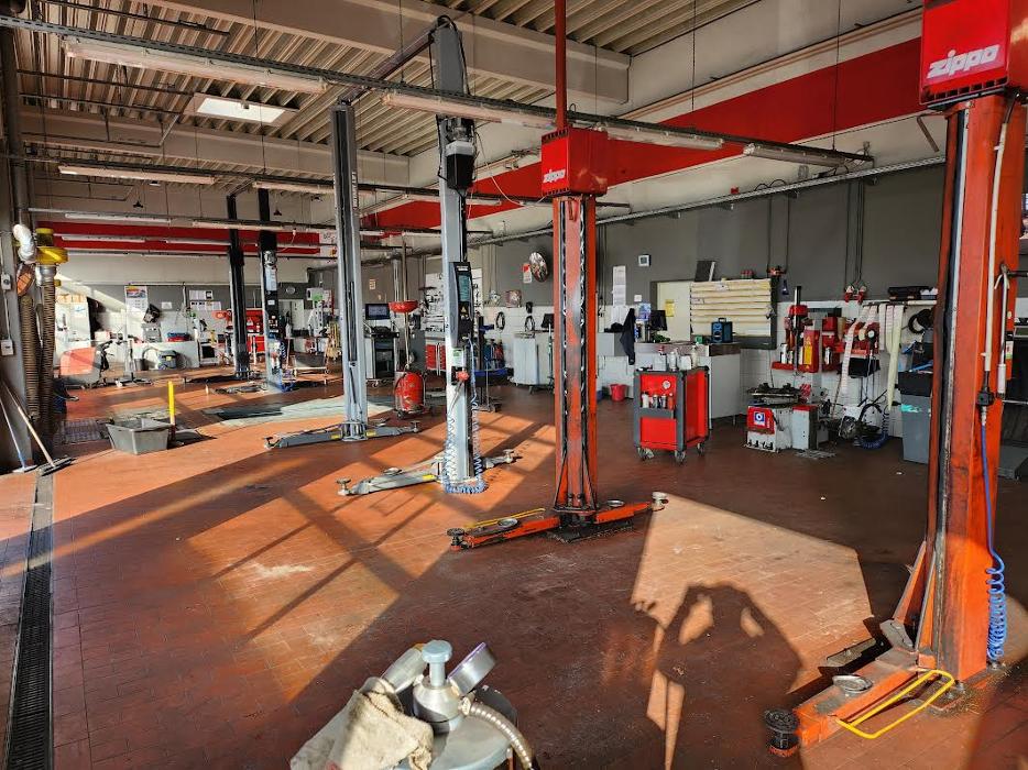 ATU Heide, Vogelweide in Heide